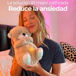 Oso de Peluche Antiestrés