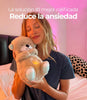 Oso de Peluche Antiestrés