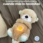 Oso de Peluche Antiestrés